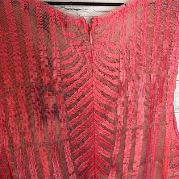 Rebel Wilson x Angels Embroidered Mesh Empire Waist Dress Confetti Size 1X NWT - Picture 8 of 13